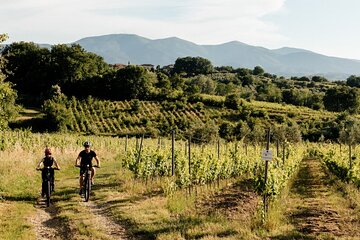 E-bike tour with tasting in the hills of Lucca