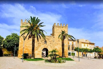 From Palma: Cap de Formentor, Market, Beach and Alcudia Tour