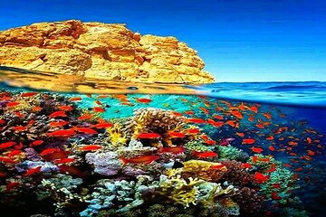 White Island & Ras Muhammed trip in Sharm El-Sheikh 