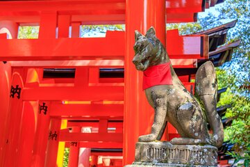 Fushimi Inari Deep Shinto Shrine Tour while Hiking with Expert 