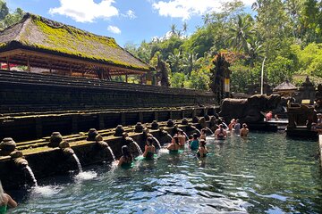 Melukat Ceremony and Temple Tour at Tirta Empul Temple