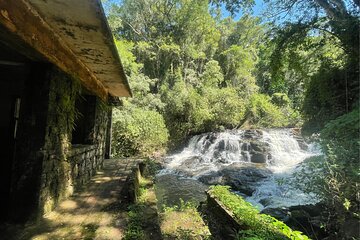 Explore Trails in the Atlantic Forest at the Brazilian Falls