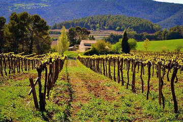 Coast and mountain tour in Catalonia