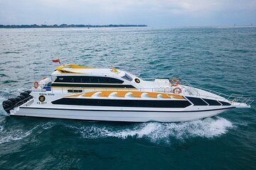 One-way Fast Boat from Sanur Bali or Nusa Penida