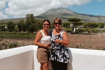 Vesuvius Wine Tasting Experience with Lunch Included