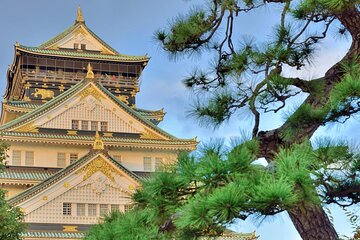 Osaka Castle Admission Ticket