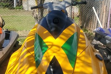 Private Parasailing and Jet Skiing at Montego Bay