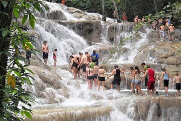 Dunn's River Falls and Horseback Riding Tour from Montego Bay