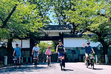 Off the beaten path E-bike tour tokyo with Local guide, 3hrs 