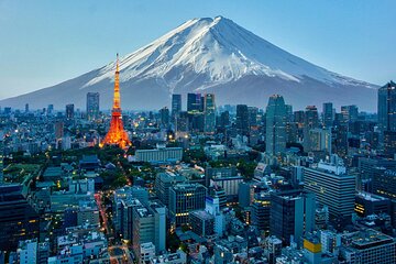 2 Day Tokyo & Fuji Private Tour by Premium Car