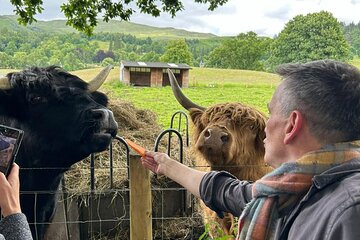 Hidden Gems & Highland Cows: Family-friendly Private Day Tour