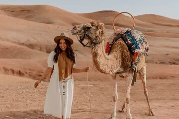 Desert Serenity Camel Trekking at Sunset