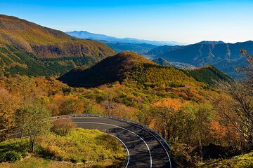 Autumn Nikko World Heritage 1-Day with Government Licensed Guide