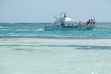 Half-Day Guided Catamaran Cruise in the Caribbean Sea