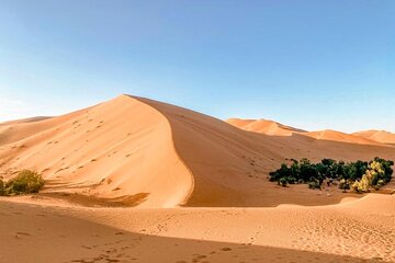 Lunch in Merzouga Desert Oasis, Transport With 4WD