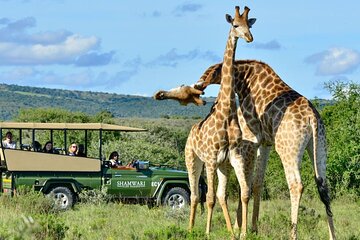 Full Day Phezulu Safari & Durban City Tour