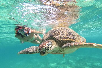 Tour to Tulum and Akumal with Swim with Turtles from Tulum