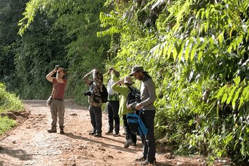 Birdwatching in Guatapé with Around 400 Bird Species