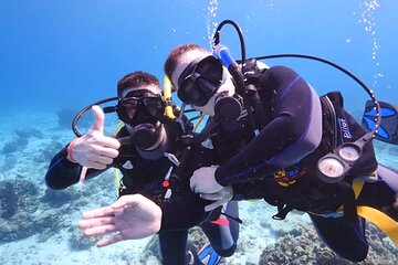 shore dive in red sea with pick up