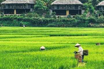 Mai Chau 1 Day Trip: Small Group, Hidden Charm, Cave Exploration