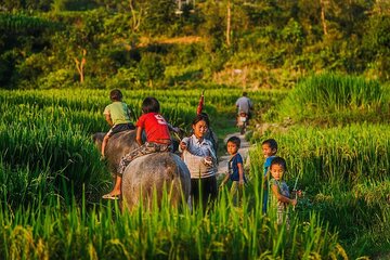 Immerse in Mai Chau: Explore the Colorful Northwest & Hidden Cave