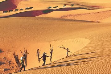 Discover Mui Ne:Fairy Stream, Fishing Village, Sand Dunes, Sunset