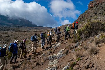 8 Days Guided Private Trekking in Mount Kilimanjaro
