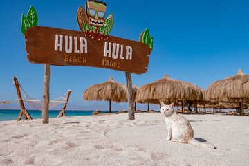 Hula Hula Island Snorkeling Boat Trip Giftun in Hurghada