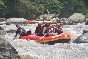 Bali White Water Rafting Ayung river Ubud 