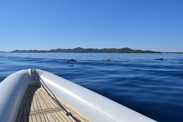 Super Snorkeling and Sandy Beach Bays on 7 Spots in Zadar