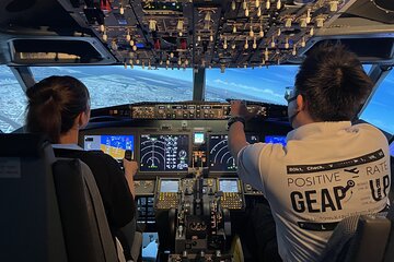 Tokyo 6hr Private Guided Tour & Flight Simulator Experience