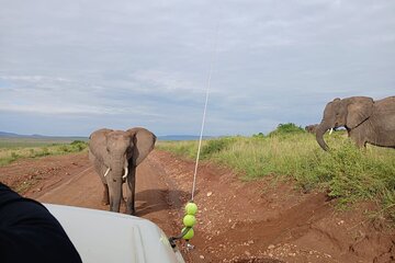 03 Days Wildlife and Nature Adventure in Masai Mara