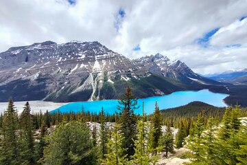 Lake Louise Peyto Lake and Crowfoot Glacier from Calgary Day Tour