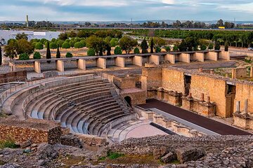 Excursion to Italica from Seville