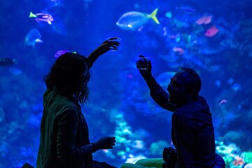 California Academy of Sciences NightLife Plus Admission Ticket 