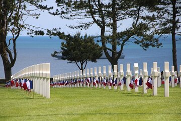 Normandy's Historic Heartbeat D Day Day Trip from Paris