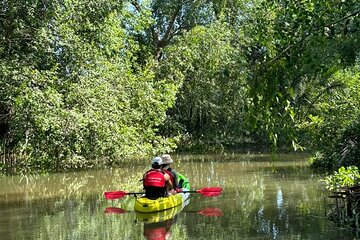 VIP Mekong Delta Adventure Cycling & Kayak Day Trip Group 10Pax