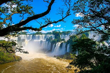 Guided Tour Brazilian Falls and Bird Park Exploration