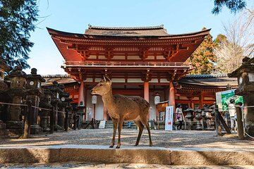 Exclusive Luxury Day Tours Serene Nara