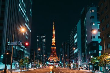 Tokyo City Tour (With English or Japanese Speaking Guide)