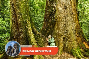 Full-day Cuc Phuong National Park From Ha Noi