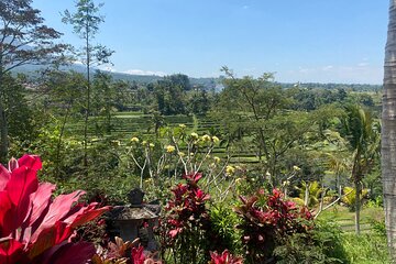 Full Day Bali Scooter Tour