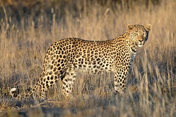 11 Day Breathtaking Namibia (Accommodated) Self-Drive Tour