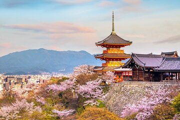 Osaka & Kyoto & Nara Top Hightlights English Speaking Tour