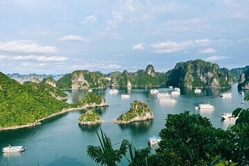 2 Day 1 Night Package Tour : Ninh Binh & Halong Bay Luxury Cruise