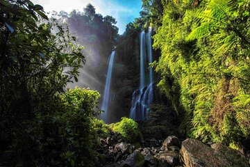 Munduk Sekumpul and Banyuwana Waterfall Trekking Tour