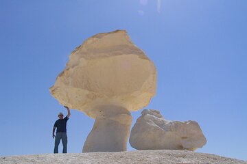 2 Days - Discover the Hidden Treasures of Fayoum Desert 