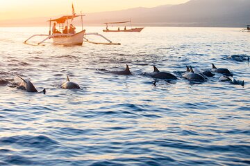 Munduk Waterfall Dolphin and Snorkeling Tour