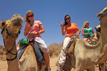 Desert Package: Quad, Camel, Dinner Show in Sharm El Sheikh