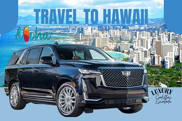 One-Way VIP Transfer: Honolulu Airport, Waikiki, Cruise Port